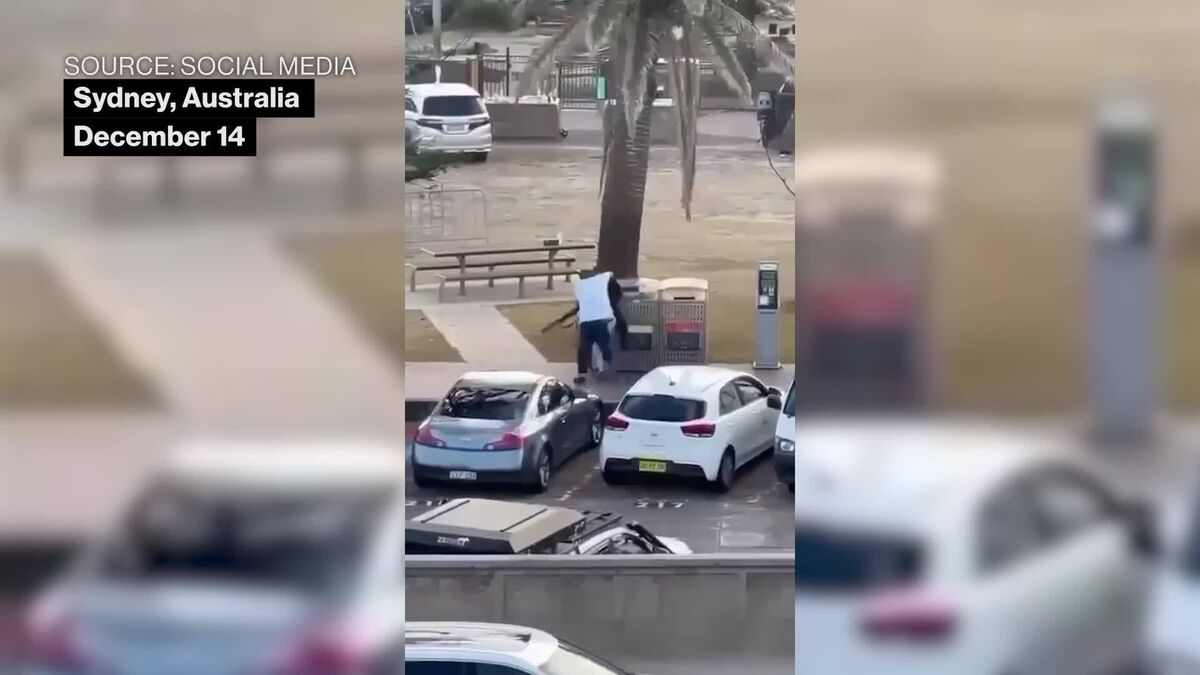 'Hero' Bystander Tackles Bondi Gunman