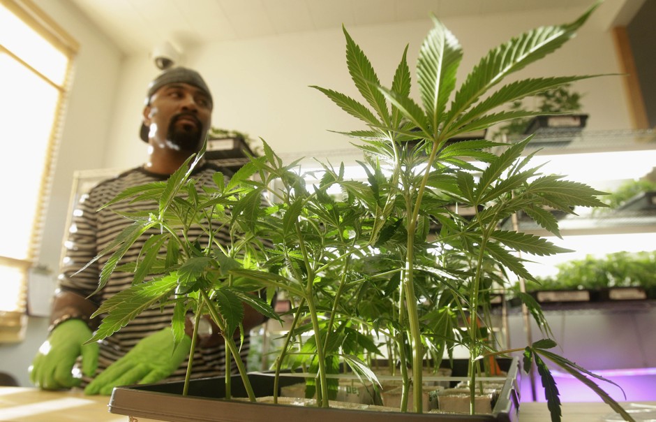 In Oakland, a new pot equity program is aimed at encouraging greater participation by African Americans in the city's booming cannabis trade. 