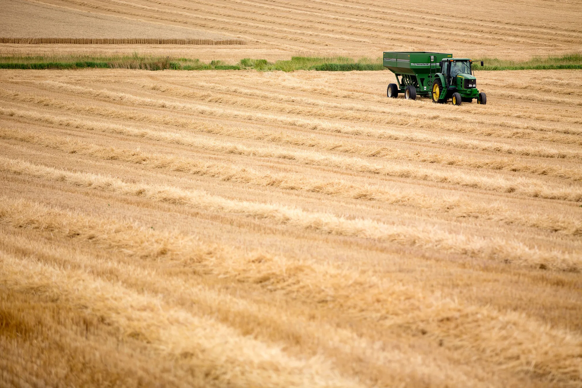 A harvested wheat field in Kirkland, Illinois, on July 11, 2016.
