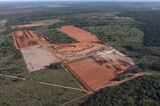 High Interest Rates Delay Paraguay $3 Billion Wood-Pulp Mill