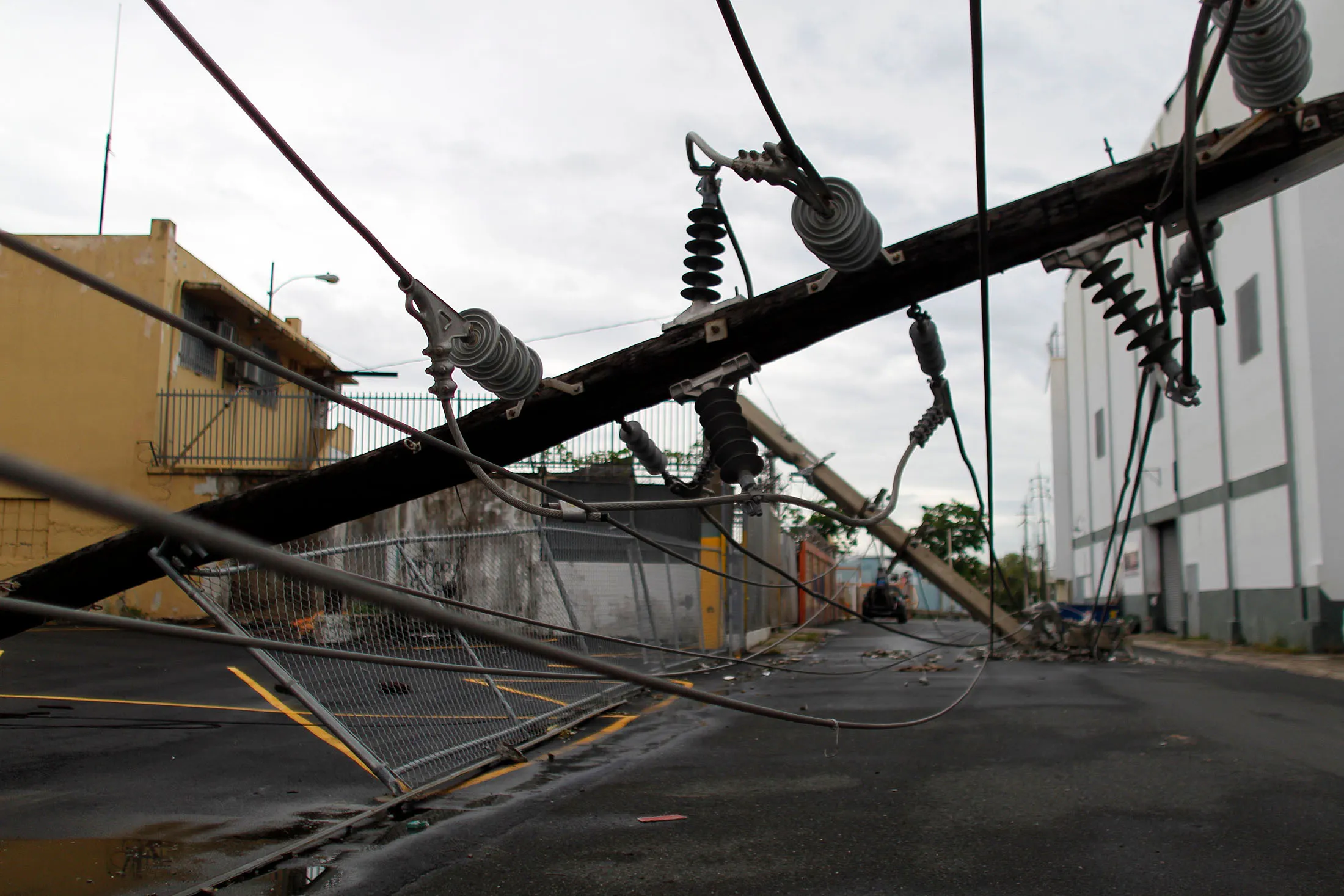 Power lines&nbsp;downed by the passing of Hurricane Maria.