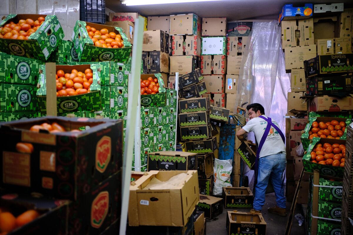 Extreme Weather Makes US Tomatoes More Expensive This Summer