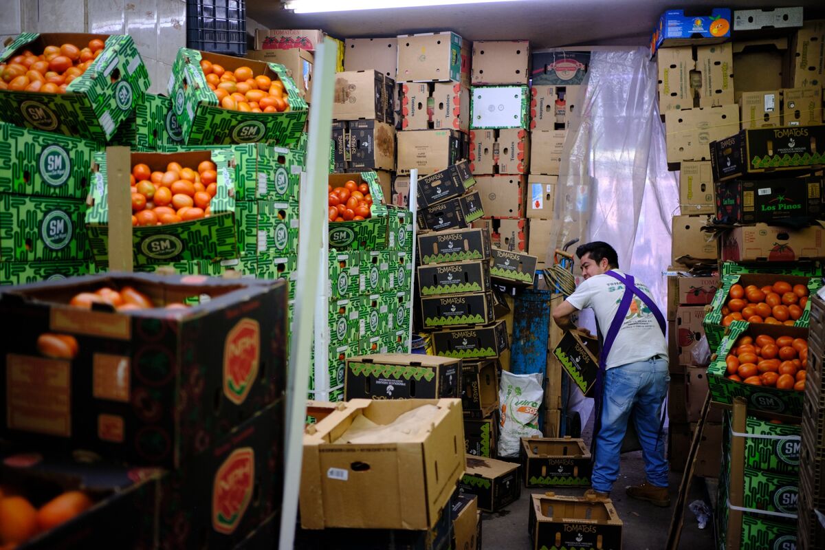 Extreme Weather Makes US Tomatoes More Expensive This Summer