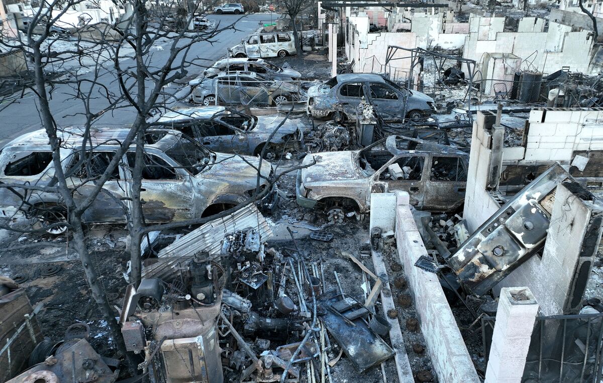 Klimawandel: Die Waldbrandkatastrophe auf Maui erfordert eine nationale ...