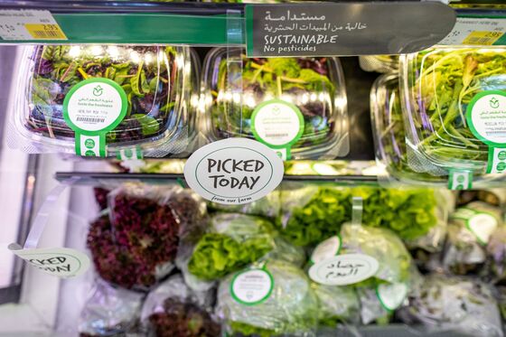 Vertical Farming’s Success Depends on the Cheapest Lightbulb