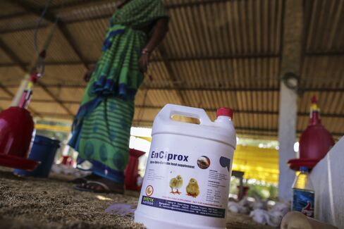 EnCiprox, which lists ciprofloxacin, enrofloxacin and colistin as ingredients, in a broiler house in Ranga Reddy.