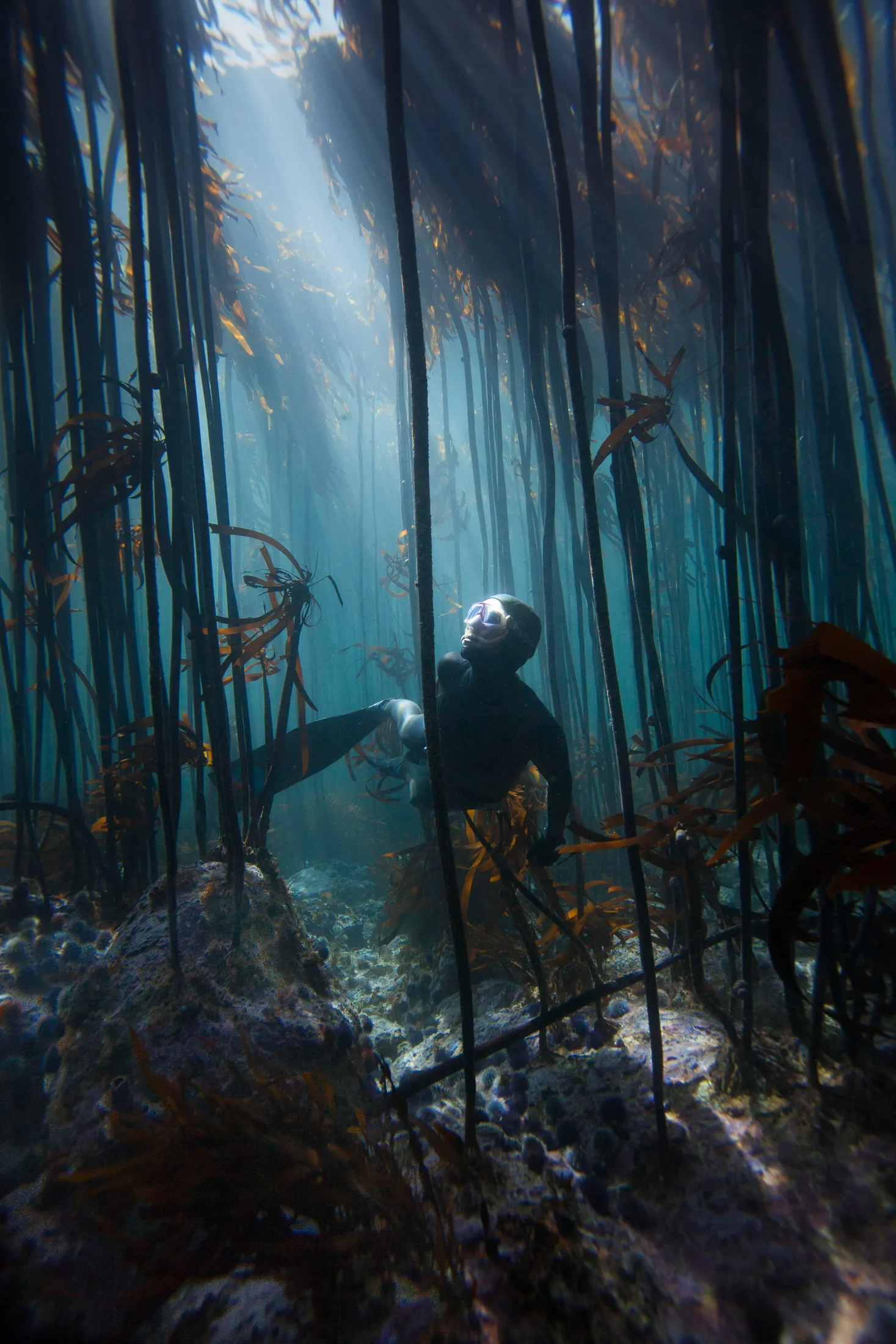 Explore the New Seven Wonders of the World - Bloomberg