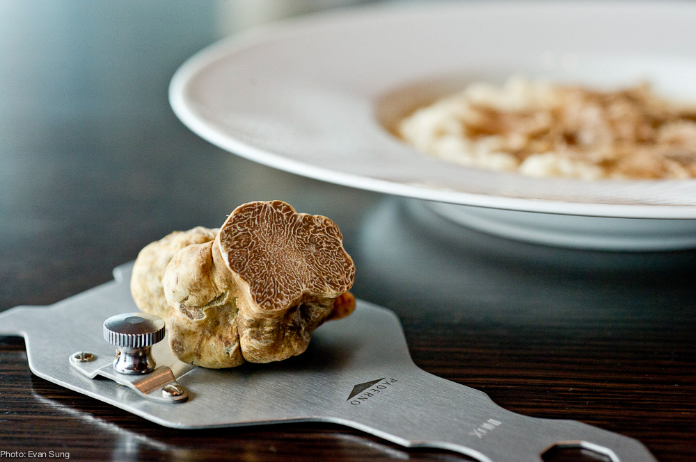 White truffles might be pricey, but New York restaurateurs are buying them anyway.