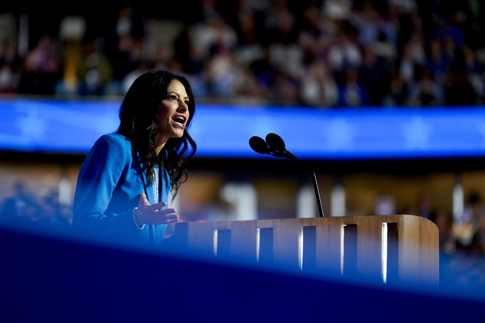 Dana Nessel, Michigan attorney general, speaks during the Democratic National Convention (DNC) at the United Center in Chicago, Illinois, US, on Wednesday, Aug. 21, 2024. The Democratic National Convention this week marks the ceremonial crowning of Vice President Kamala Harris and Minnesota Governor Tim Walz as the party's presidential nominees, capping off a whirlwind month for Democrats who quickly coalesced behind the new ticket after President Joe Biden dropped out of the race in July.