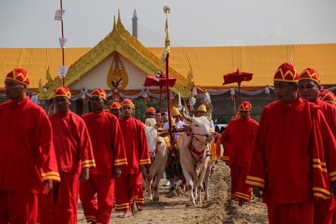 Officials guide oxen as they pull a plow through the soil.