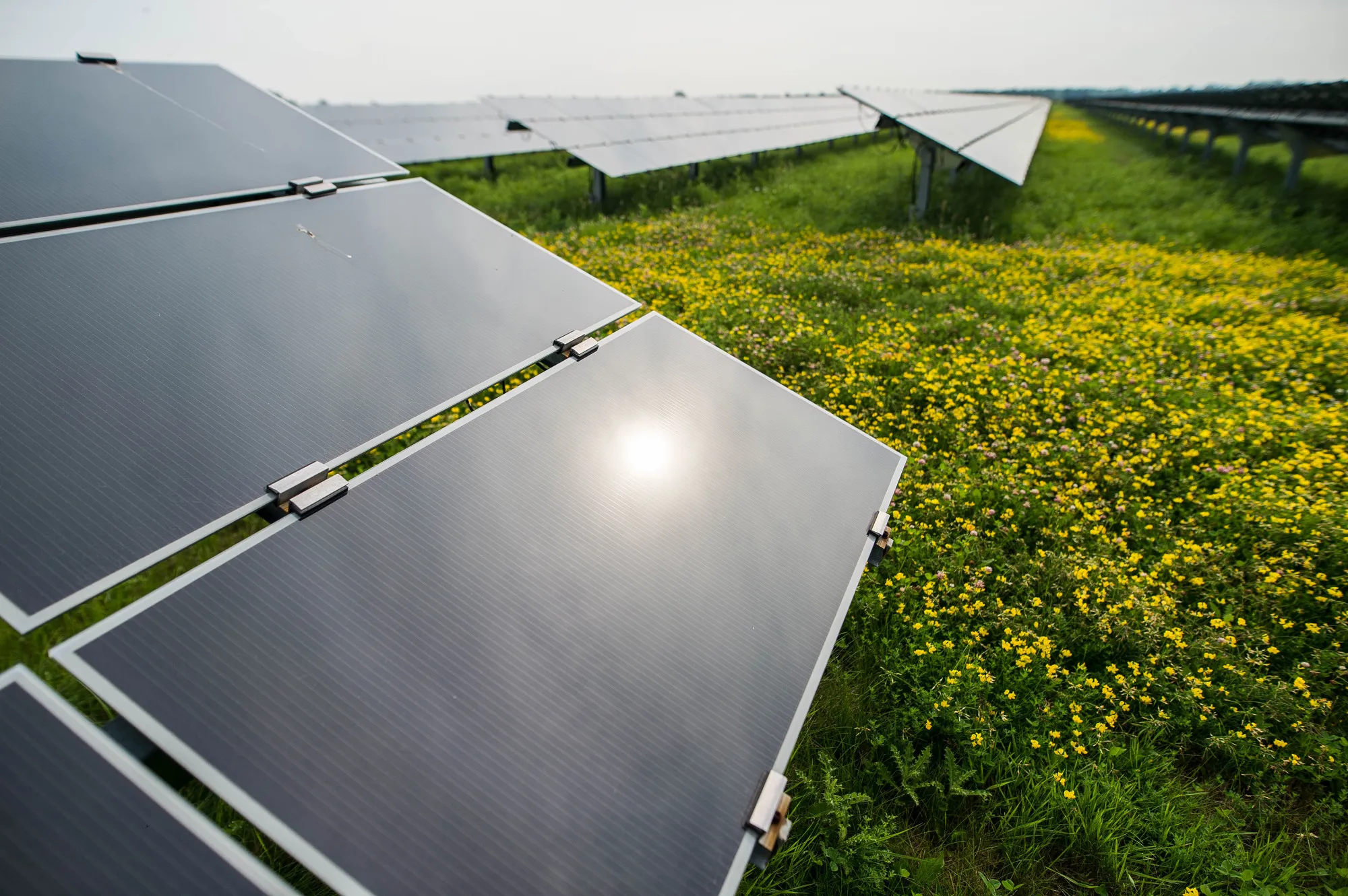 Operations At The Enbridge Inc. Sarnia Solar Facility