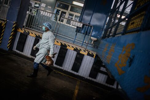 New Bird Flu Found to Be Resistant to Roche’s Tamiflu Drug