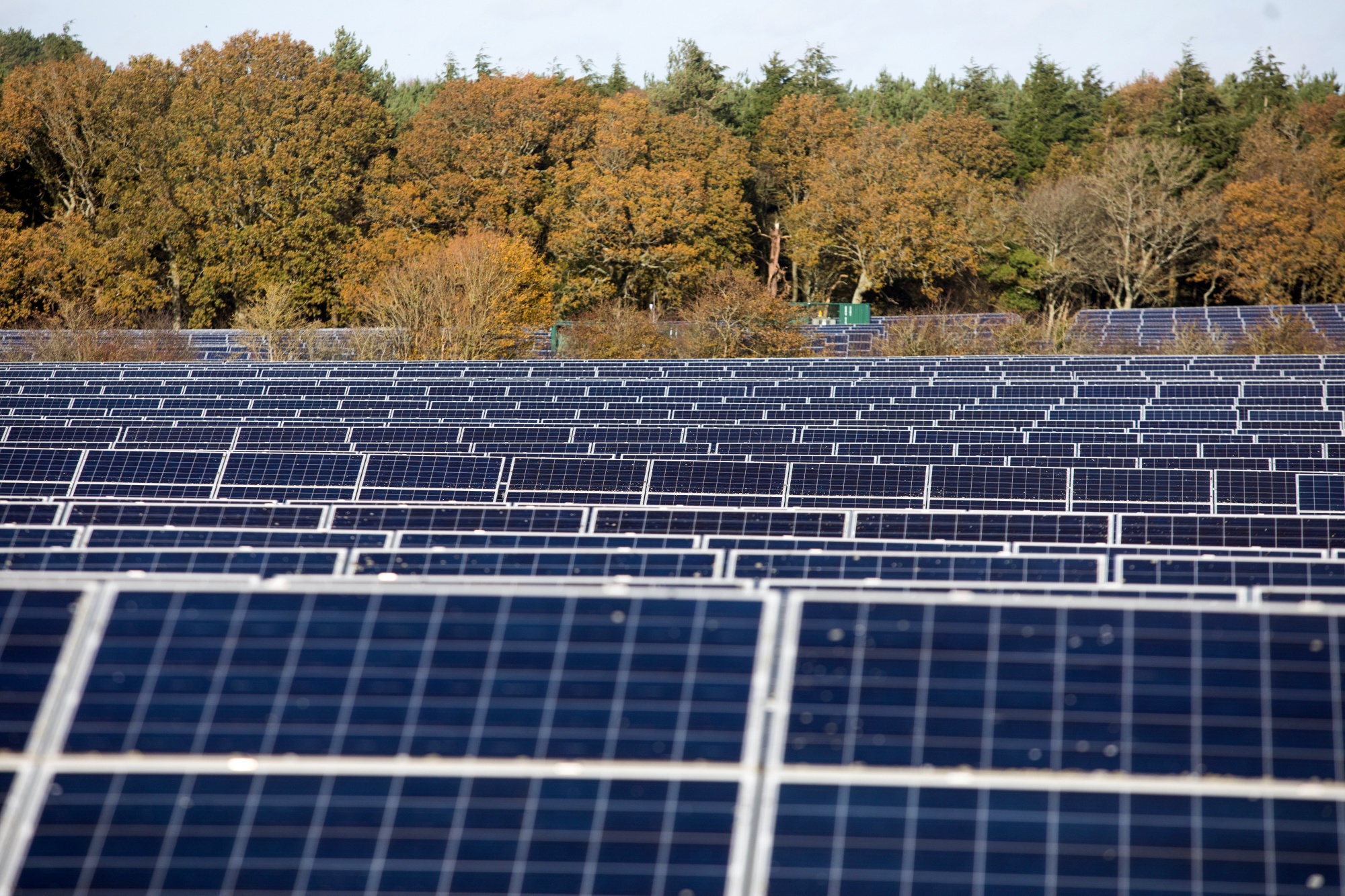 Panneaux photovoltaïques sur la ferme solaire de Natewood à Hailsham, Royaume-Uni