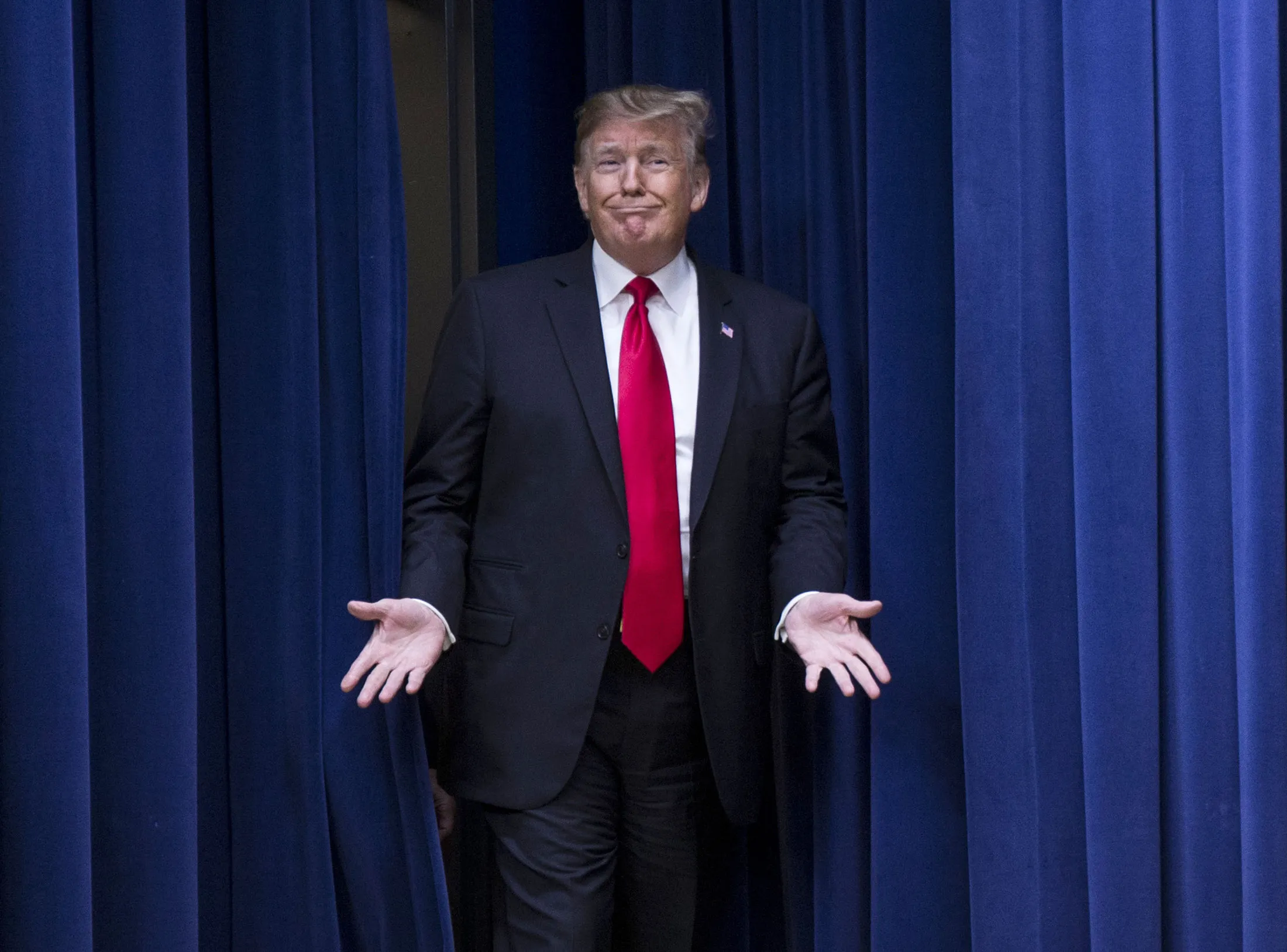 Donald Trump&nbsp;