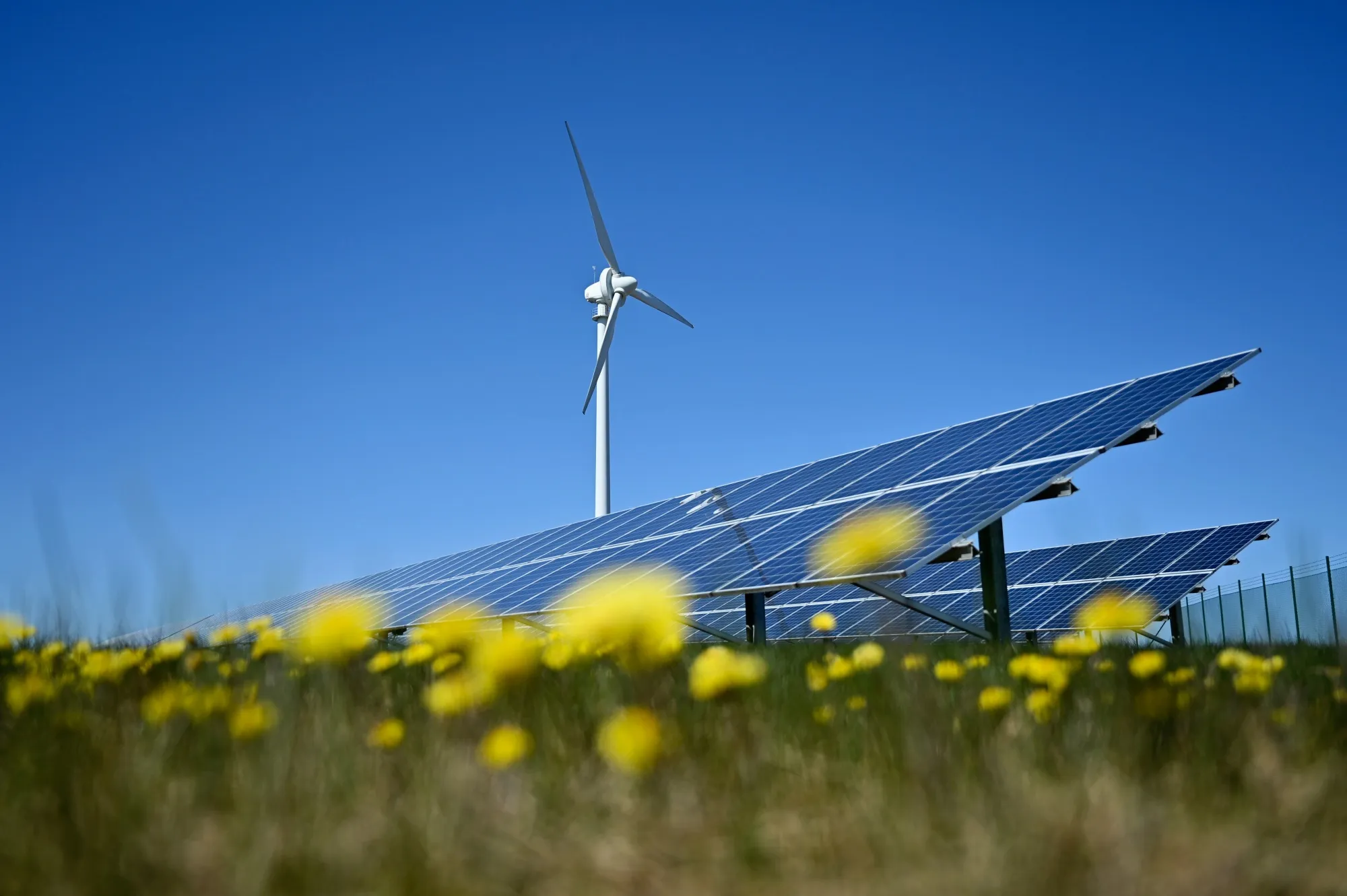 Patchwork of ESG Ratings Sow Investor Confusion as Flows Surge