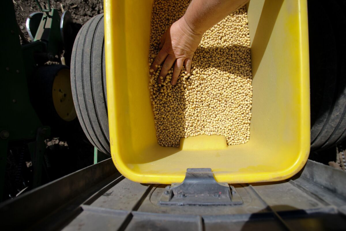 ⚫️ BLOOMBERG: "Futures dell'olio di soia ai minimi da tre mesi per calo della domanda cinese"