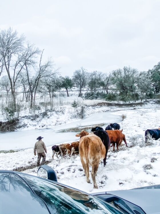 Texans’ Frozen Pipes Are Warnings of Yet Another Climate Threat