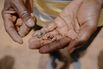 Moldy Peanuts Can Be Deadly. The Solution Is More Mold