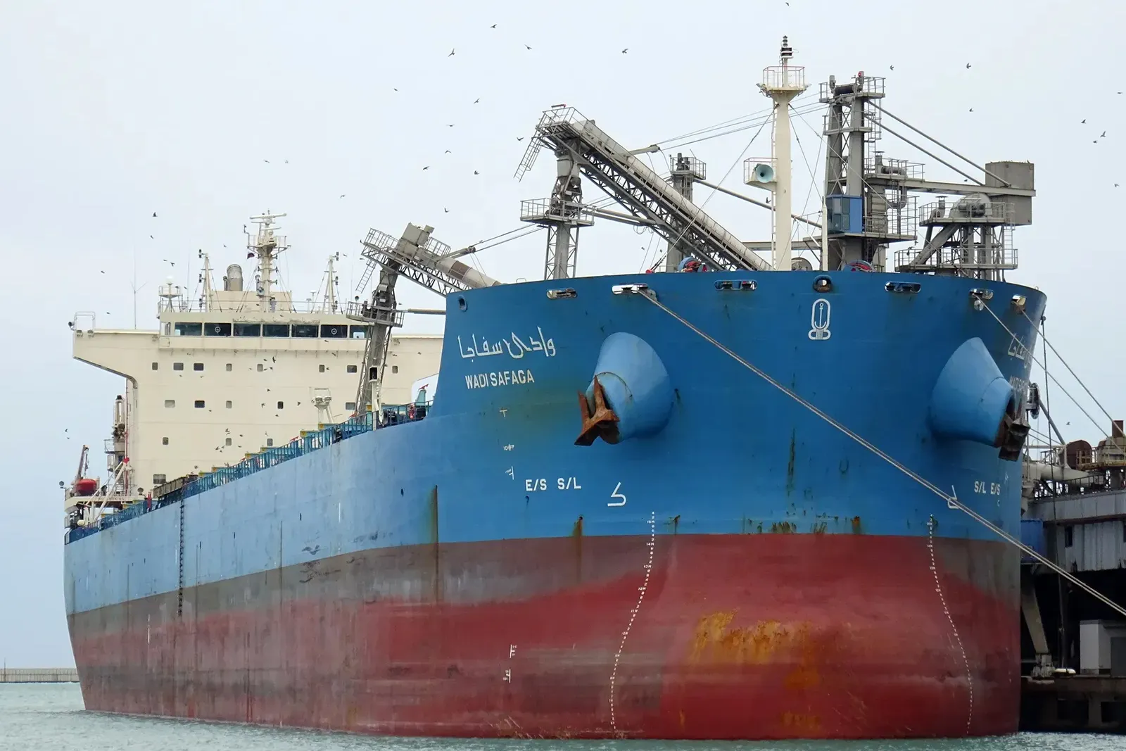 The Wadi Safaga ship.