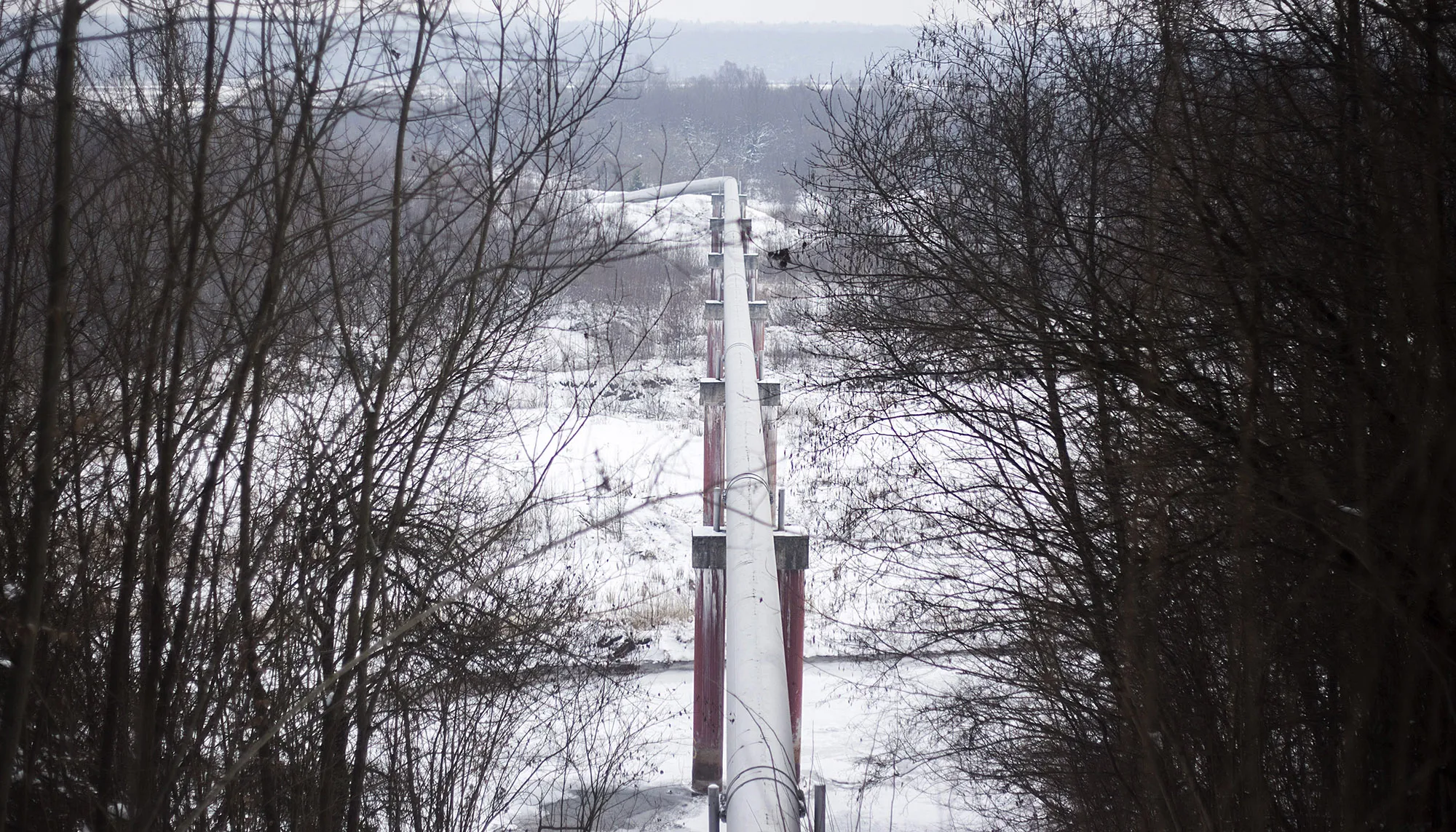 A section of&nbsp;gas pipeline passes through forested land in Ivano-Frankvisk, Ukraine.