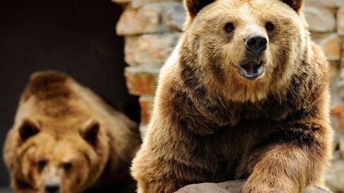 Global Bear? The Contagion Out of China