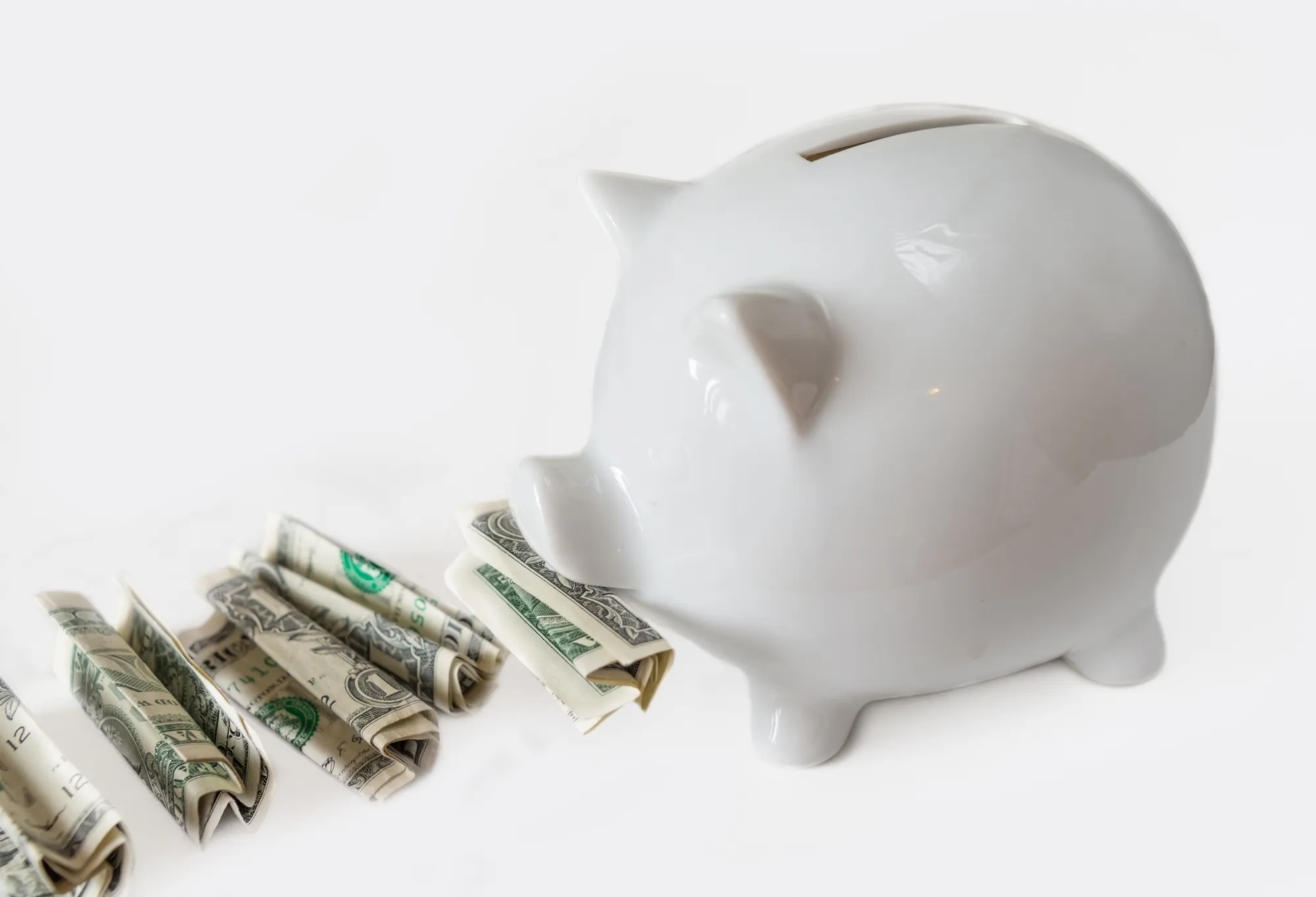 White piggy bank eating USA dollars one at a time, financial