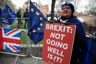 Anti Brexit Protesters In Westminster