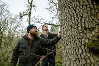 relates to Whiskey Makers Are Making a Play For Climate-Conscious Drinkers