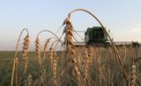 Russia's Wheat Harvest