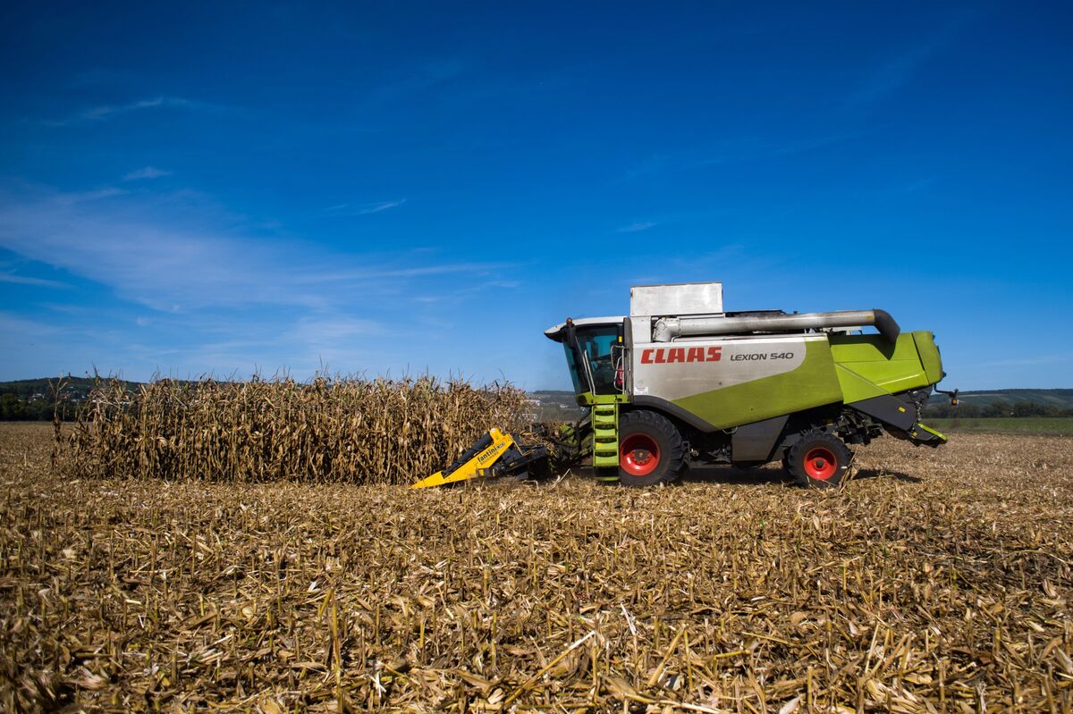 assets.bwbx.io image