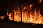 Mosquito fire near Volcanoville, California, US, on Friday, Sept. 9, 2022. 
