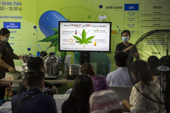 Thai Families Can Grow Six Pots of Cannabis Each as Rules Eased
