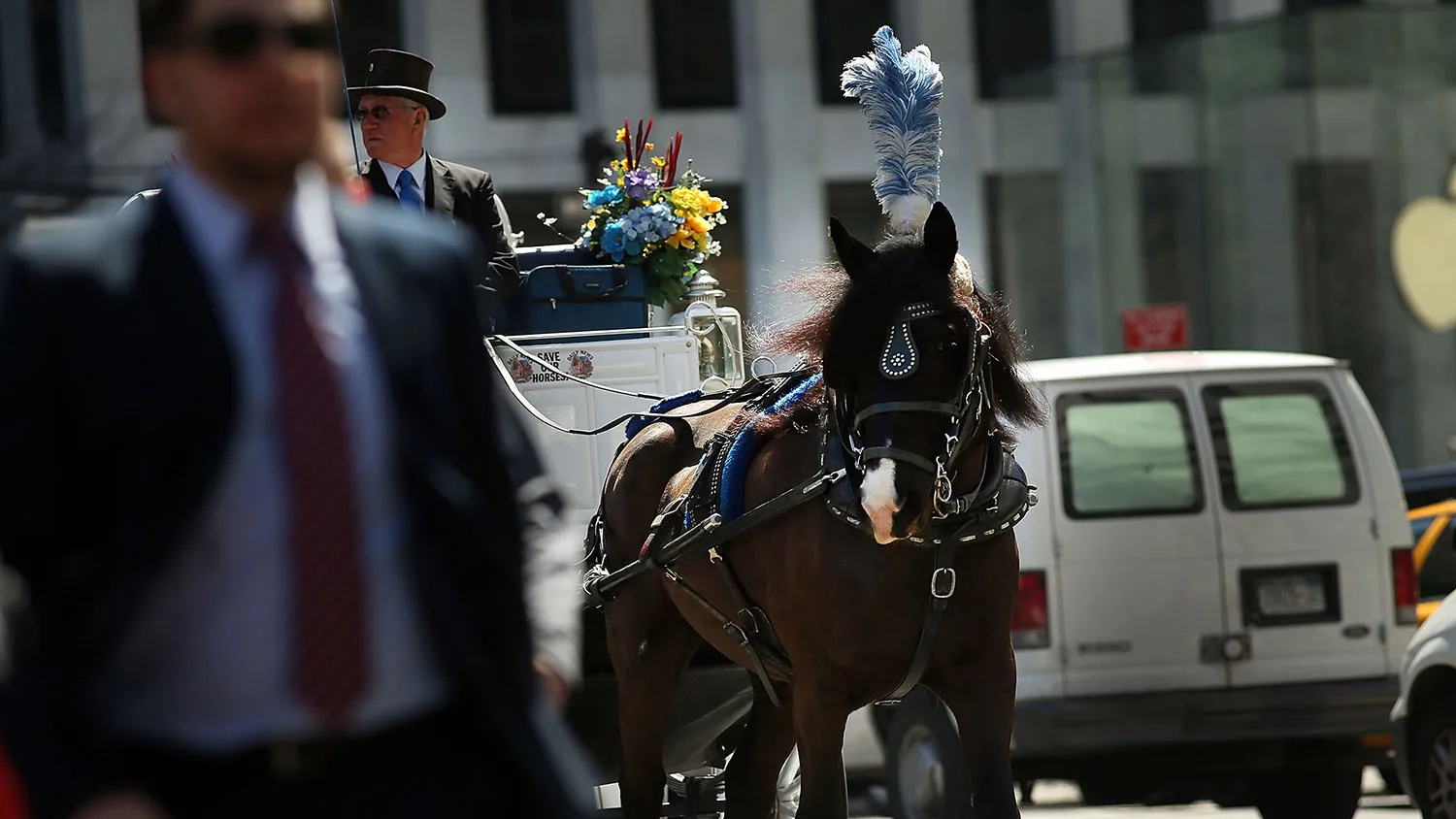 A carriage horse and driver travel down the street near Central Park on April 21, 2014, in New York City.
