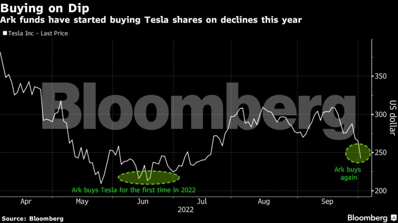Ark funds have started buying Tesla shares on declines this year