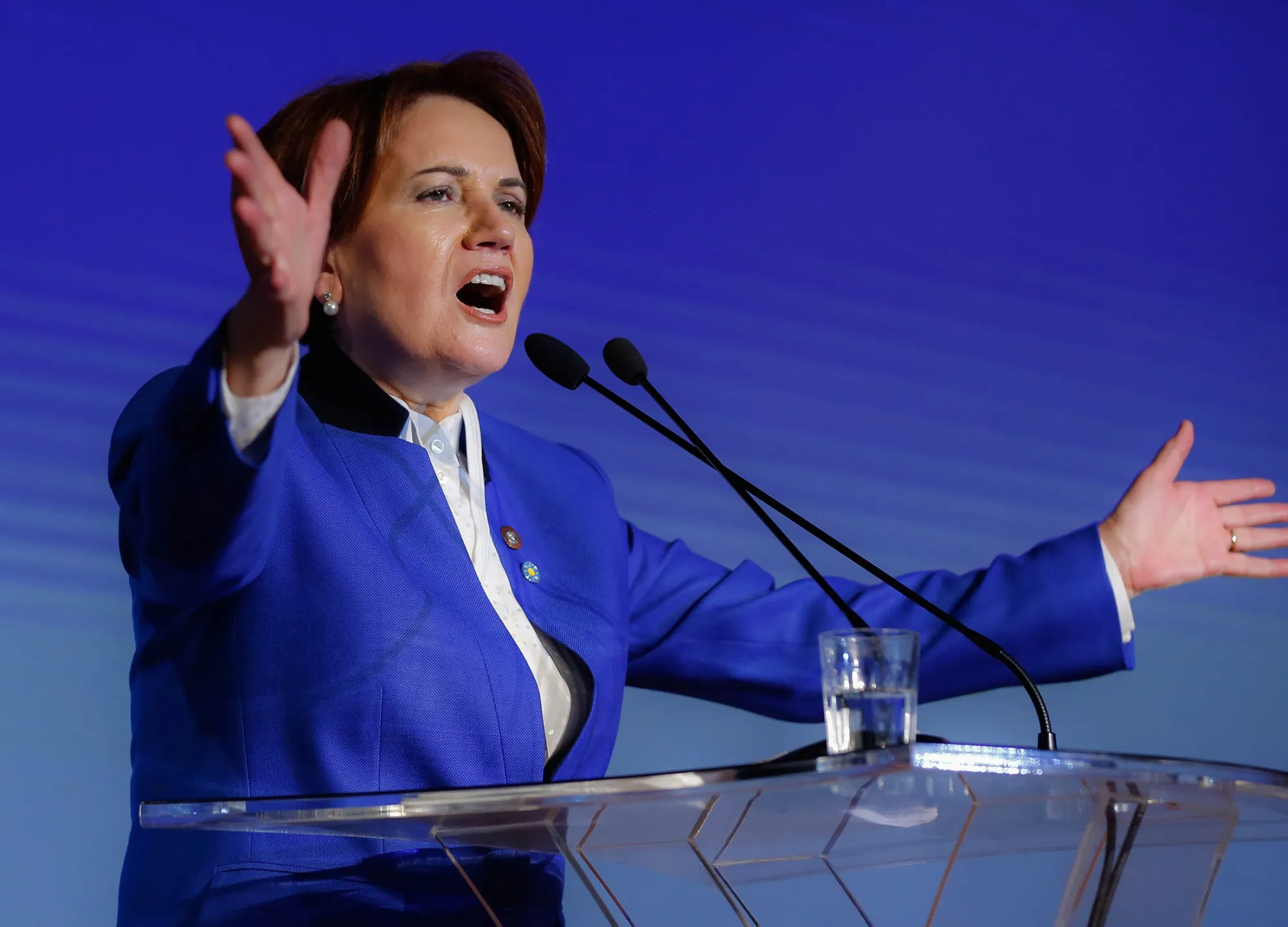 Meral Aksener
