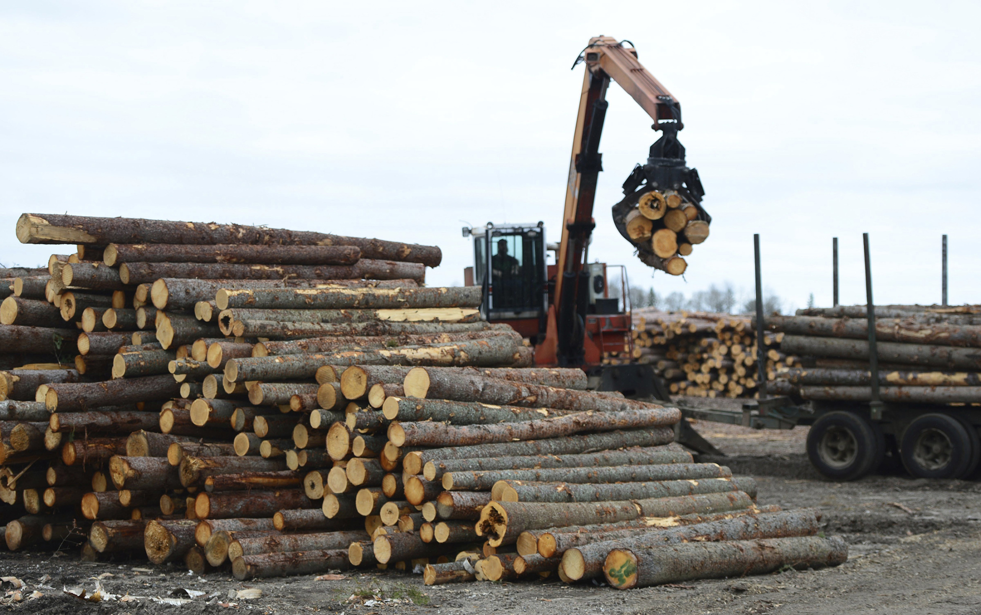 Softwood is unloaded at Murray Brothers Lumber Company woodlot in Madawaska, Ontario on April 25, 2017.
