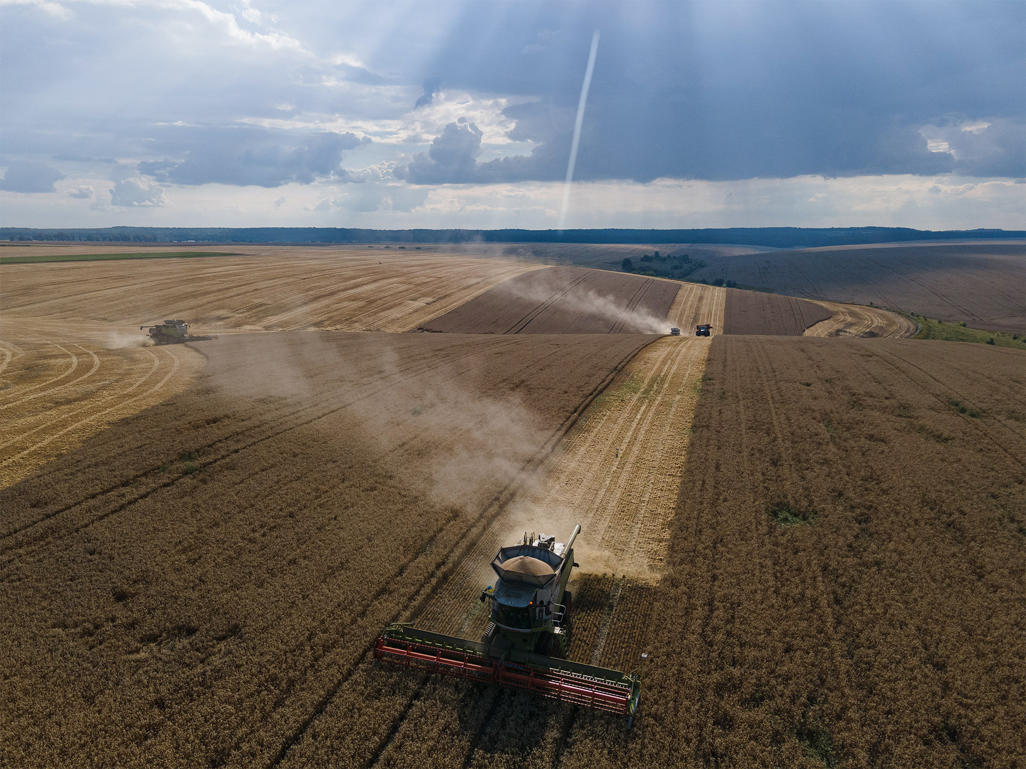 Wheat harvest in&nbsp;the Ternopil region of Ukraine on Aug.&nbsp;4.