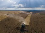 Wheat harvest in the Ternopil region of Ukraine on Aug. 4.