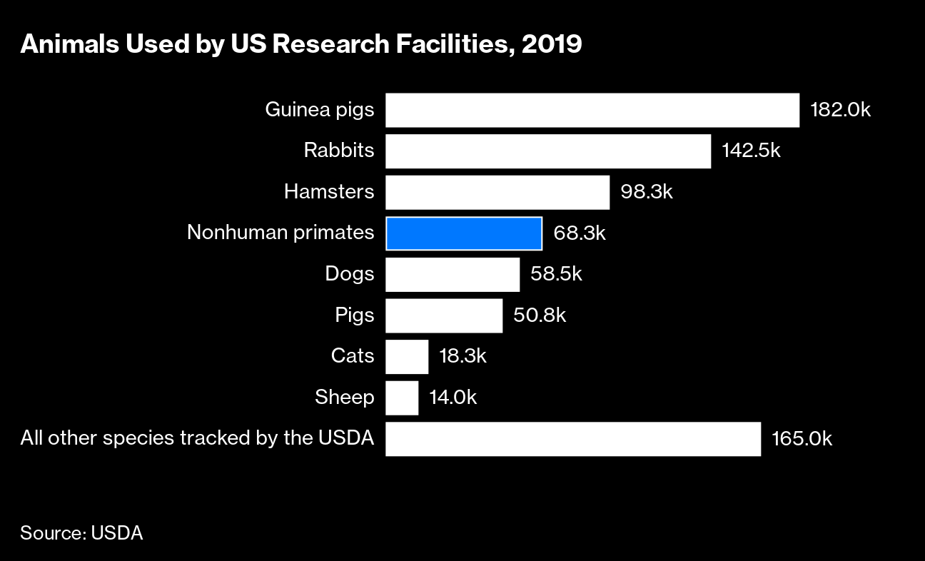 Monkey shortage imperils early-stage drug development timelines