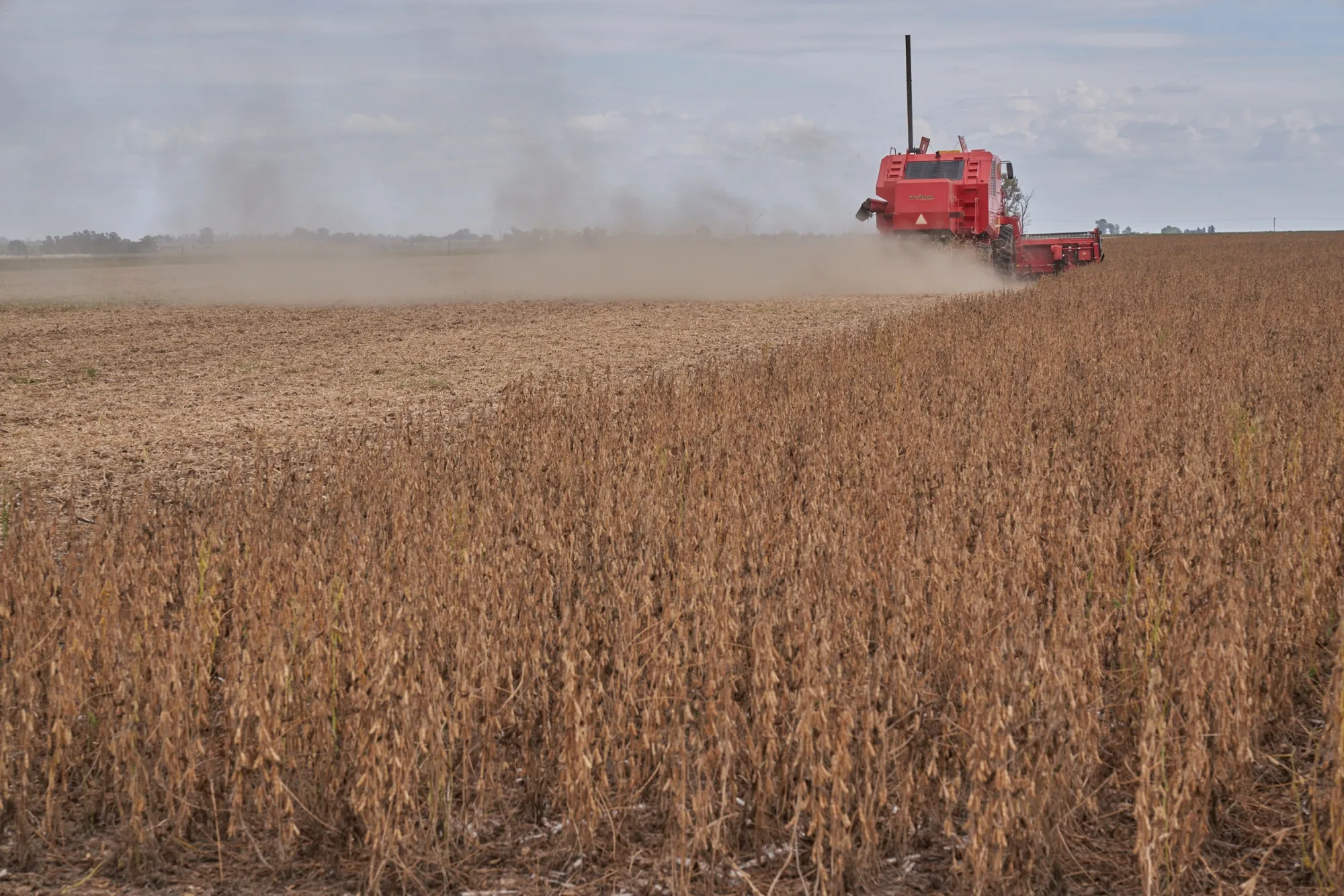 A combine harvester cuts through a field of soybean plants at a drought-affected farm in San Jose de la Esquina, Argentina, on&nbsp;April 6.
