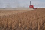 Argentina Soy Crop Forecast Slashed To Smallest On Record