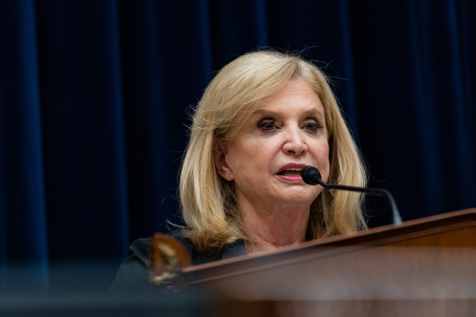 House Oversight Committee Hearing On Gun Manufacturers