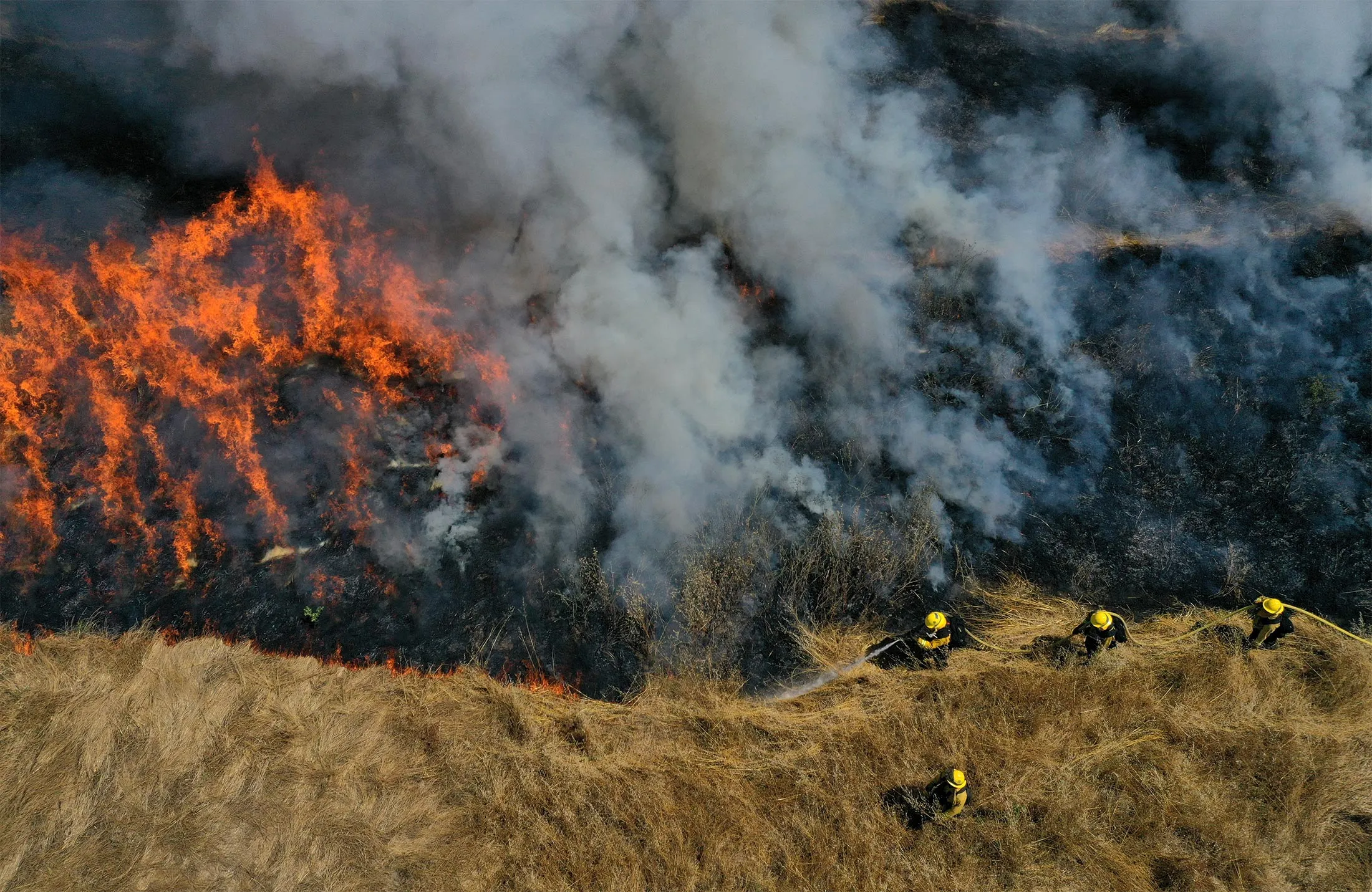Firefighters participate in a controlled burn training in San Rafael on June 19.