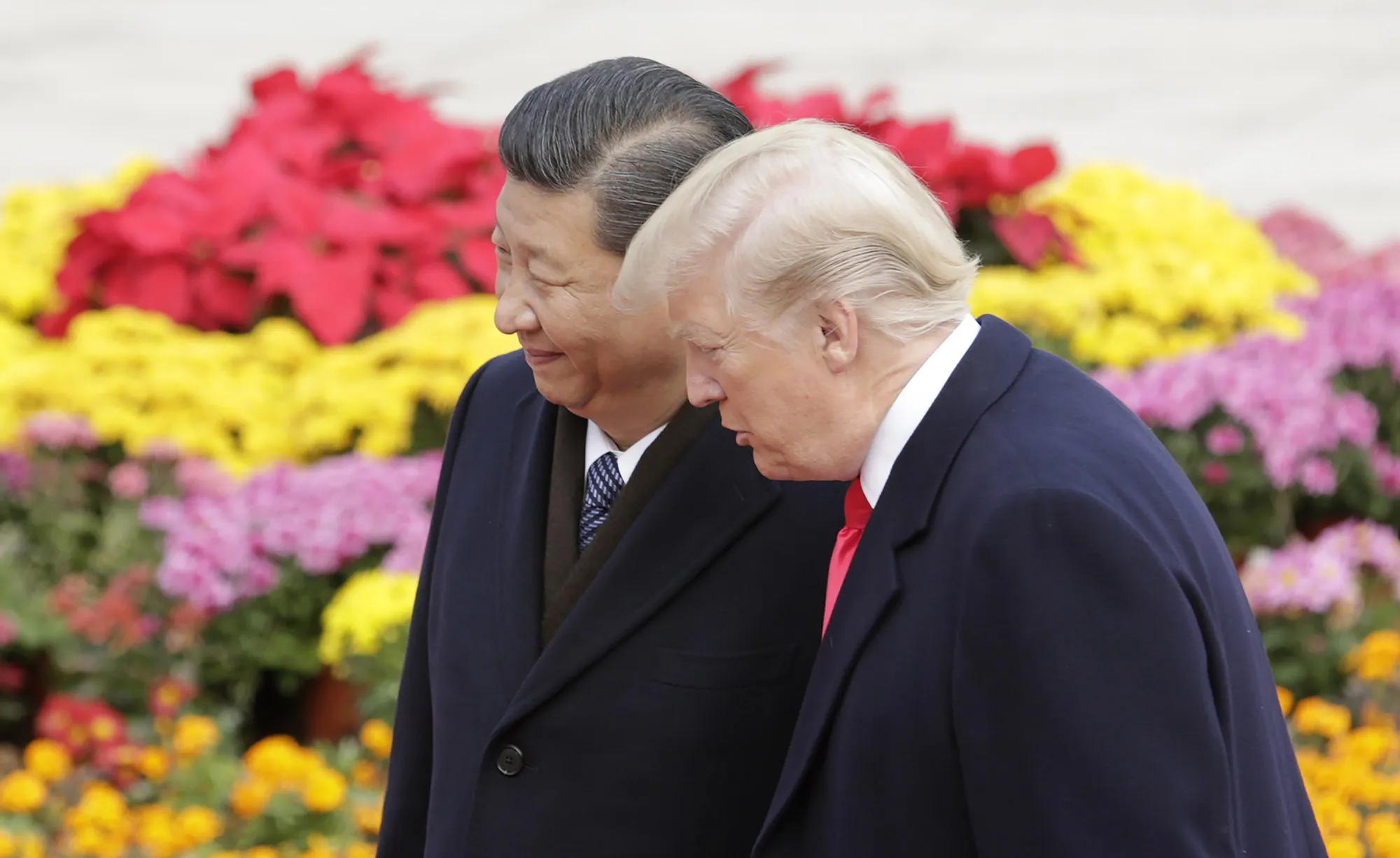 Xi Jinping and Donald Trump in Beijing, Nov. 2017.