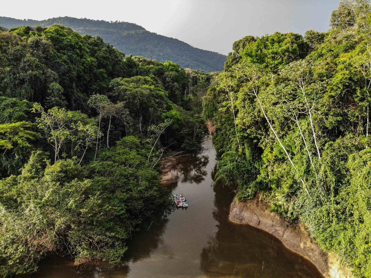 Love Safari-Style Adventure? Try Guyana, Ecotourism’s New Frontier