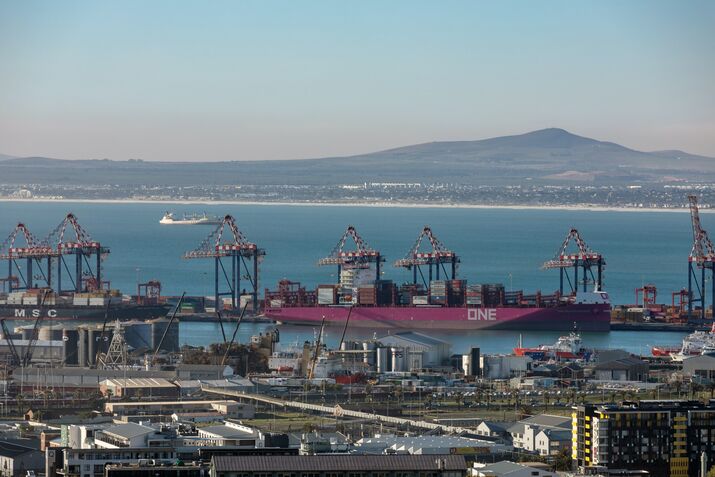 A Rare South African Export Success Is Threatened by Crumbling Ports