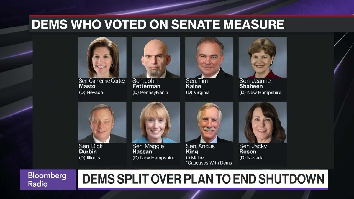 Democrats Break Ranks to Try and End Government Shutdown