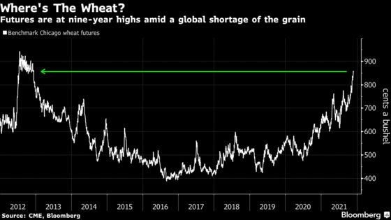 Badly Timed Rain Hurts Australian Wheat When World Needs It Most