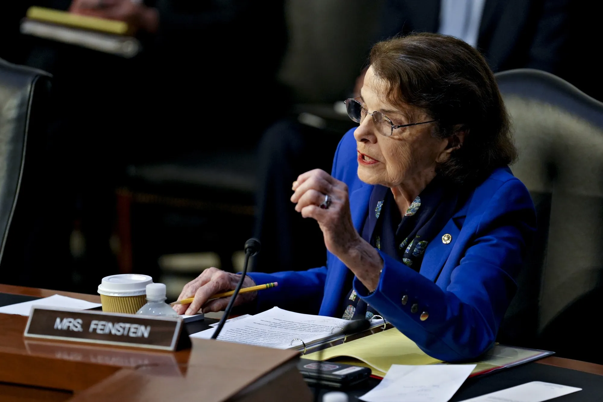 Senator Dianne Feinstein speaks during a Senate Judiciary Committee hearing last September.