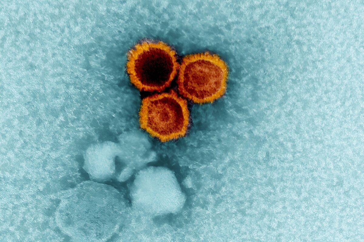 Scientist working with genetic sequencing data related to viral infections